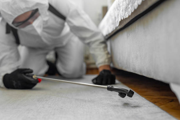 Professional Bed Bug Control technician working in Saltville, VA