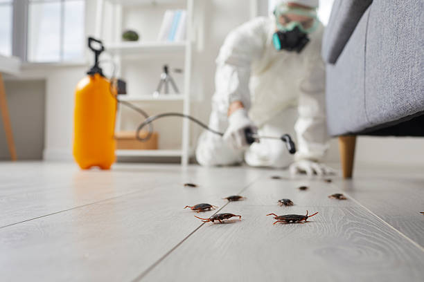 Trusted Termite Control service in Saltville, VA - Nex Pest Control